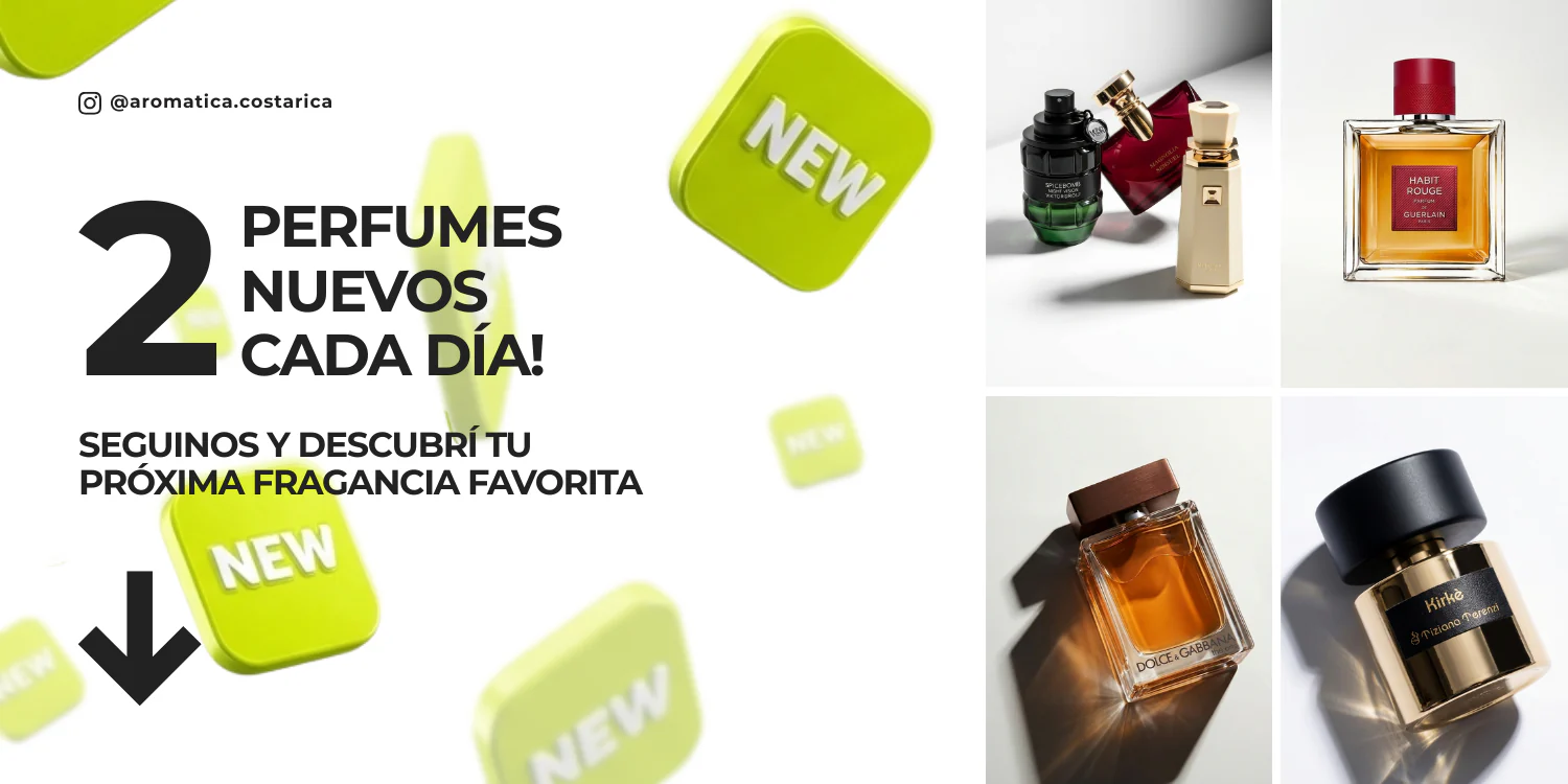 Fragancias Originales que Enamoran